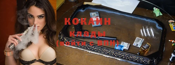 мет Арсеньев