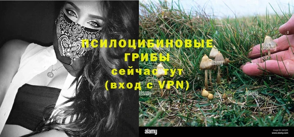 ГАЛЛЮЦИНОГЕННЫЕ ГРИБЫ Аркадак
