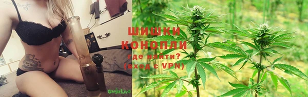 ГАЛЛЮЦИНОГЕННЫЕ ГРИБЫ Аркадак