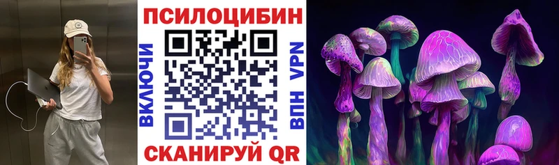 Купить закладки Волжск Псилоцибиновые грибы MAGIC MUSHROOMS